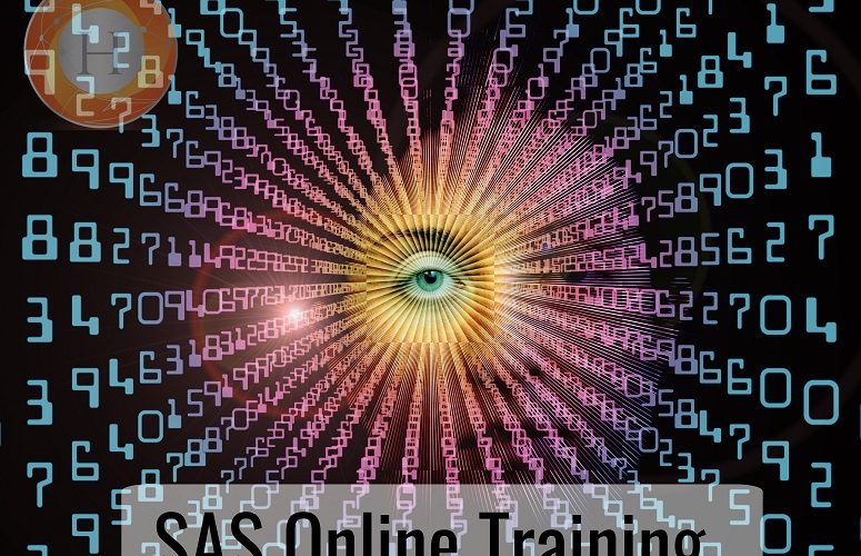 SAS online training