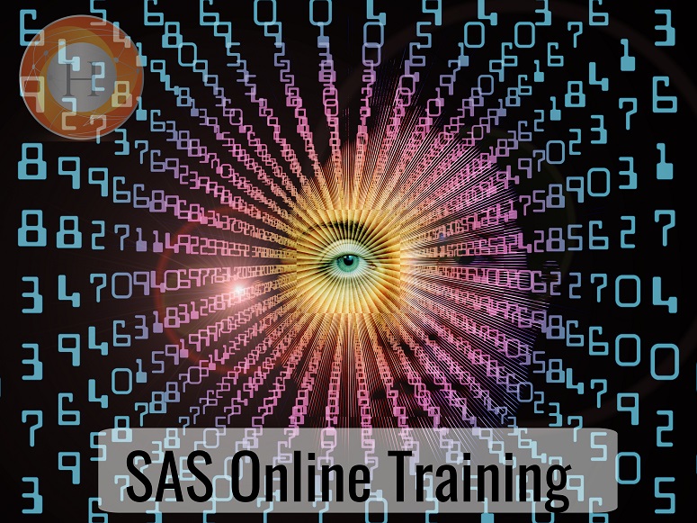 SAS online training