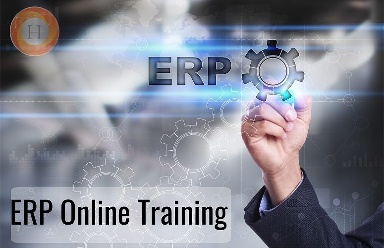 erp online training