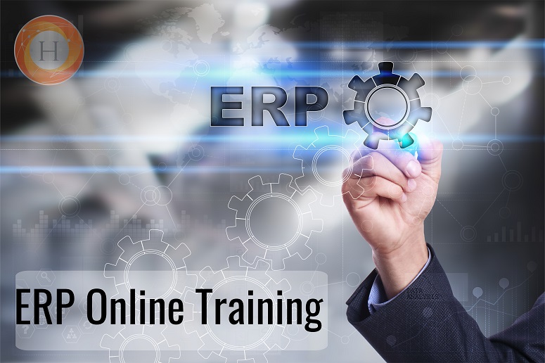 erp online training