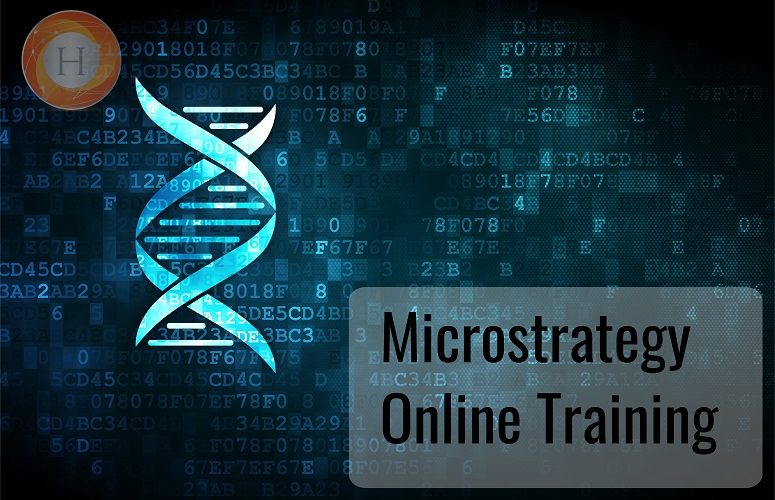 microstartergy online training
