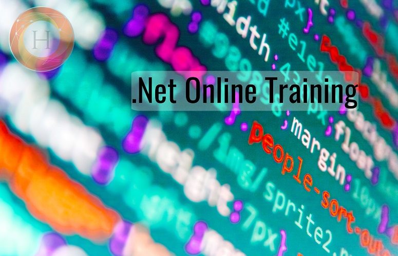.net online training